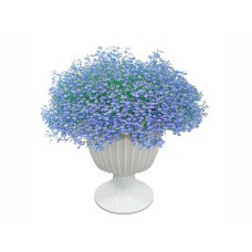 Azzurro Compact